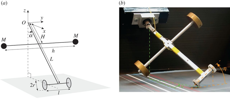Experimental sketch and setup (Image: Facchni et al)